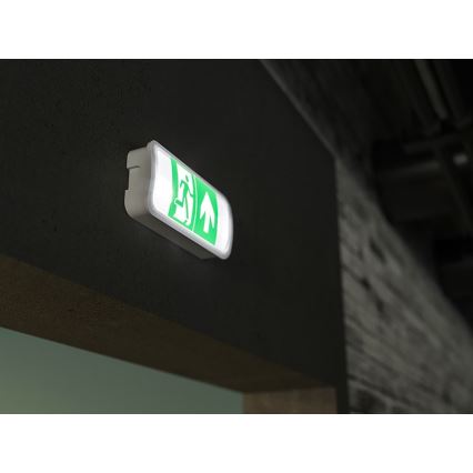LED Panik svjetiljka VIRGO EVO LED/1W/230V 6000K IP65