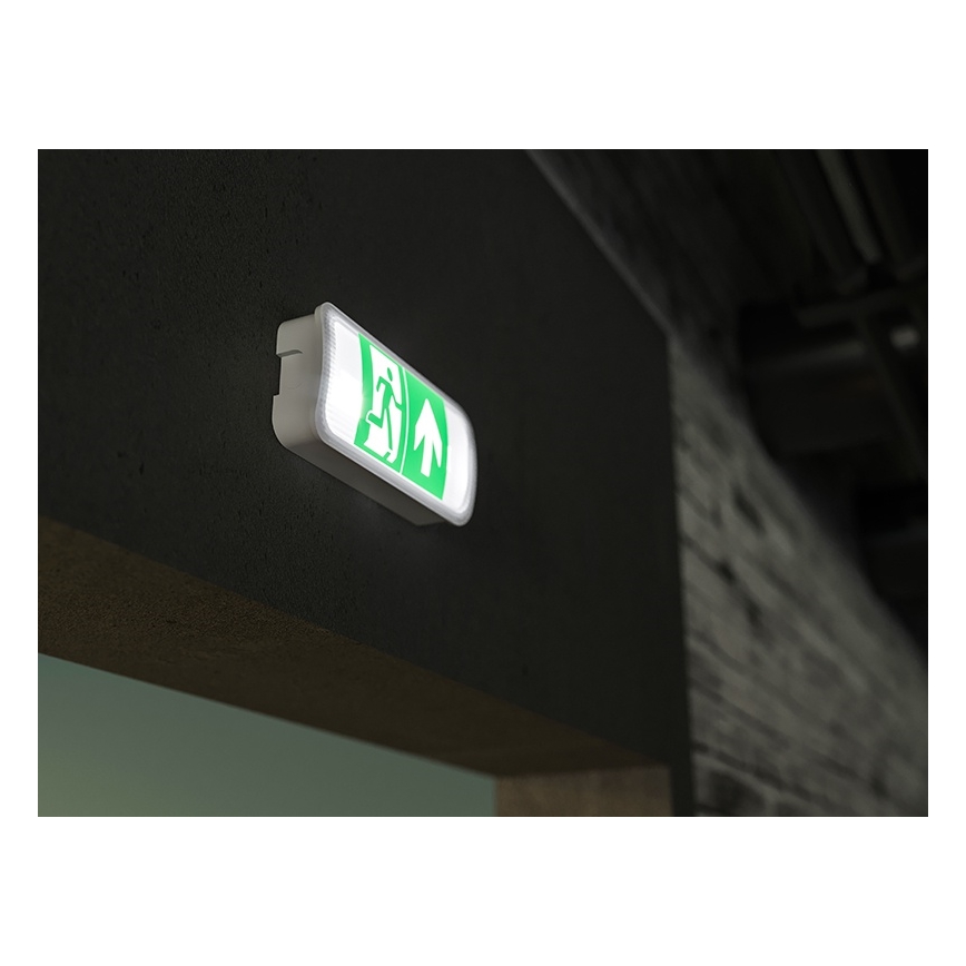 LED Panik svjetiljka VIRGO EVO LED/1W/230V 6000K IP65