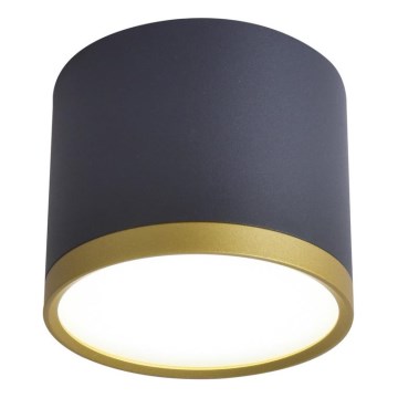 LED plafonjera TUBA LED/9W/230V crna/zlatna