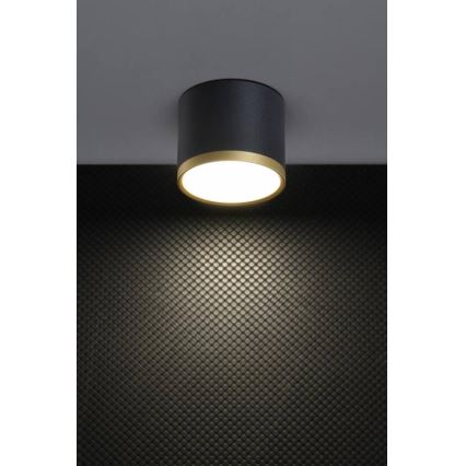 LED plafonjera TUBA LED/9W/230V crna/zlatna