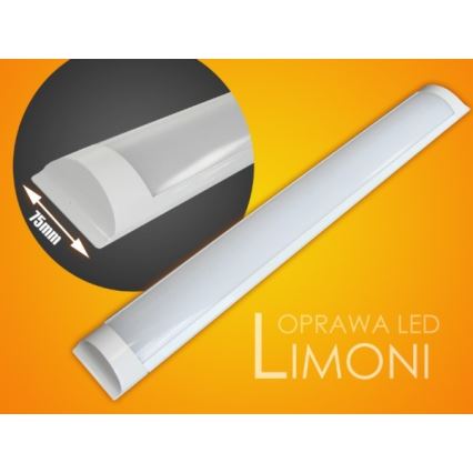 LED Podelementna svjetiljka LIMONI LED/40W/230V 3000K 120 cm
