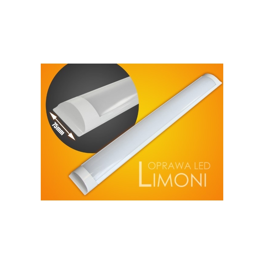 LED Podelementna svjetiljka LIMONI LED/40W/230V 3000K 120 cm