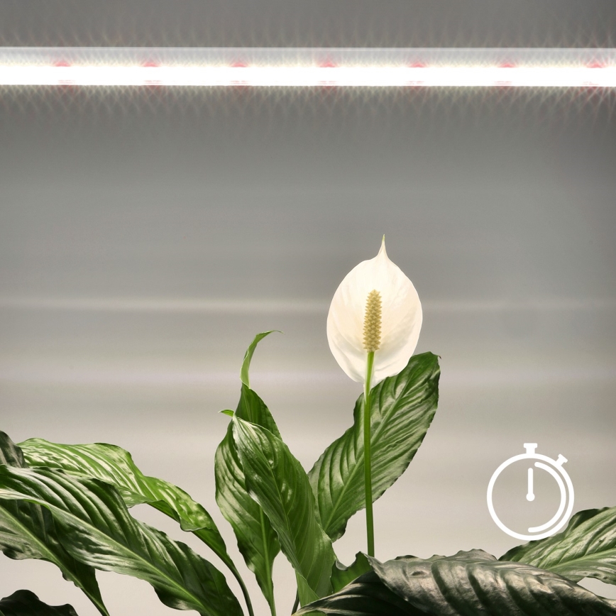 LED Podelementna svjetiljka za uzgoj biljaka GROWLY LED/15W/230W