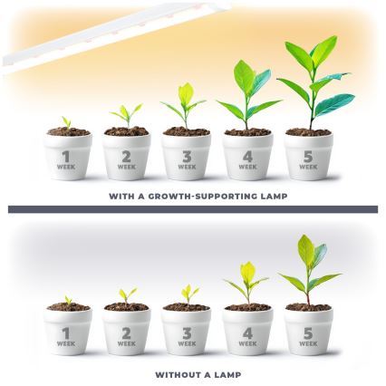 LED Podelementna svjetiljka za uzgoj biljaka GROWLY LED/15W/230W