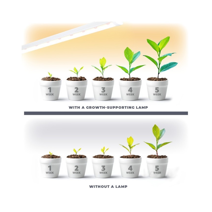 LED Podelementna svjetiljka za uzgoj biljaka GROWLY LED/9W/230V bijela