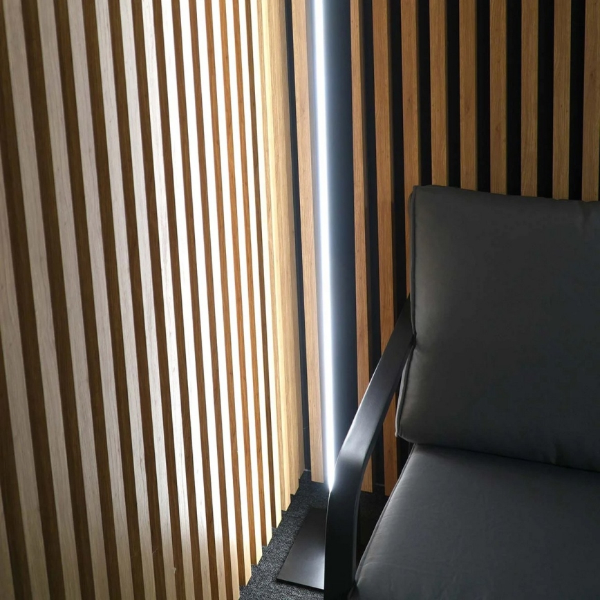 LED Podna lampa BERNADETTA LED/28W/230V 4000K crna