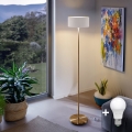 LED podna lampa TUNJA 1xE27/20W/230V promjer 30 cm zlatna/bijela