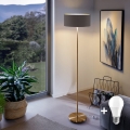 LED podna svjetiljka TUNJA 1xE27/20W/230V Ø 38 cm zlatna/smeđa