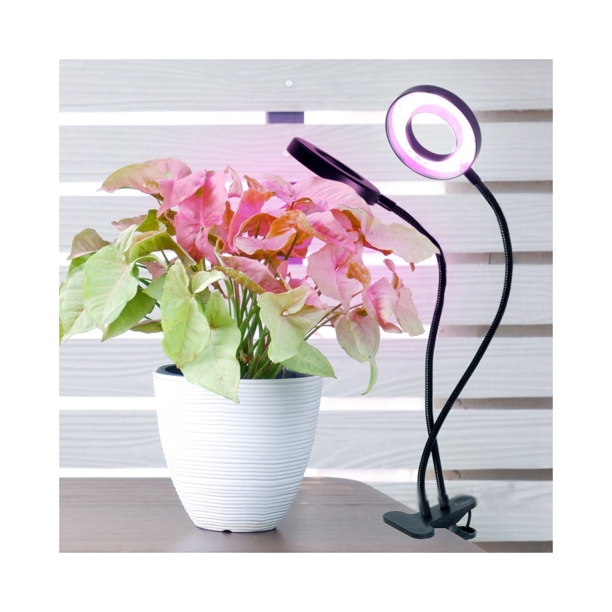 LED Prigušiva fleksibilna stolna lampa s kopčom za uzgoj biljaka VITARO 2xLED/4W/230V crna