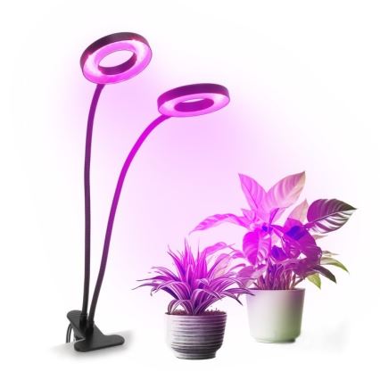 LED Prigušiva fleksibilna stolna lampa s kopčom za uzgoj biljaka VITARO 2xLED/4W/230V crna