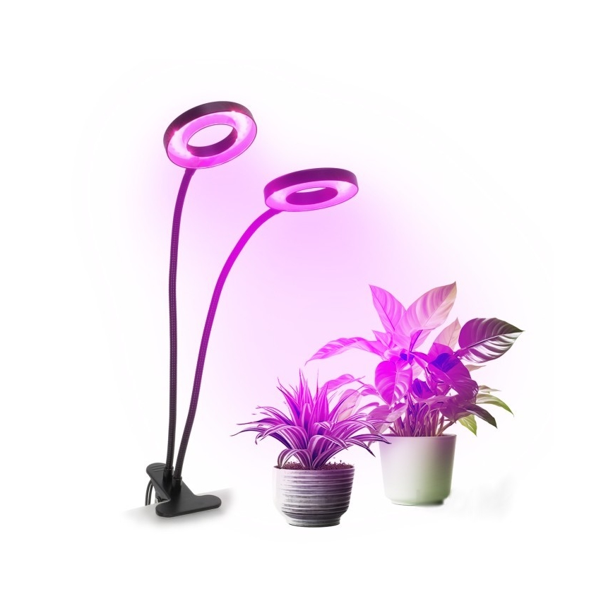 LED Prigušiva fleksibilna stolna lampa s kopčom za uzgoj biljaka VITARO 2xLED/4W/230V crna