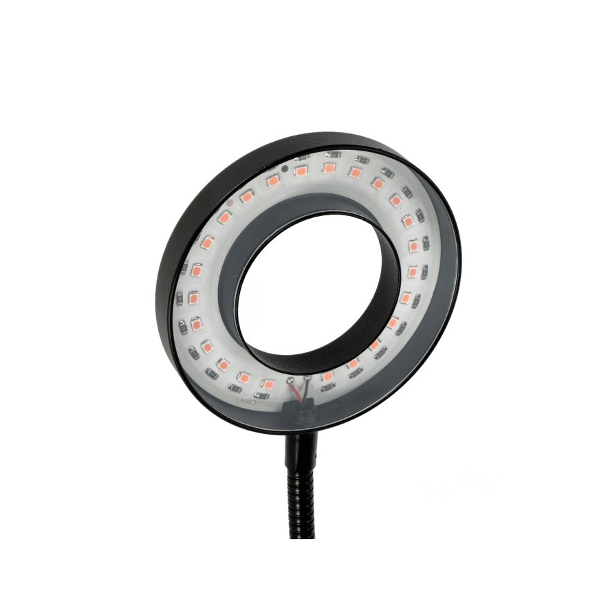 LED Prigušiva fleksibilna stolna lampa s kopčom za uzgoj biljaka VITARO 2xLED/4W/230V crna