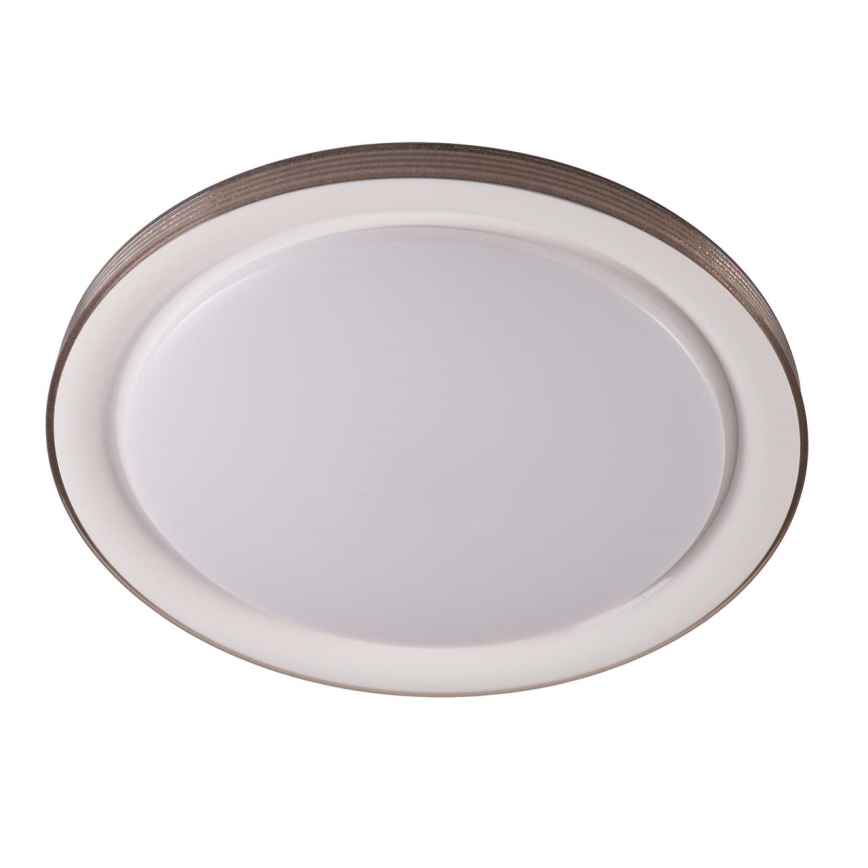 LED Prigušiva stropna svjetiljka za kupaonicu GRAŻYNA LED/48W/230V 3000-6000K pr. 41 cm IP44 siva + daljinski upravljač