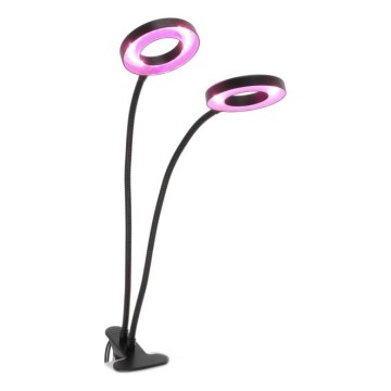 LED Prigušiva fleksibilna stolna lampa s kopčom za uzgoj biljaka VITARO 2xLED/4W/230V crna