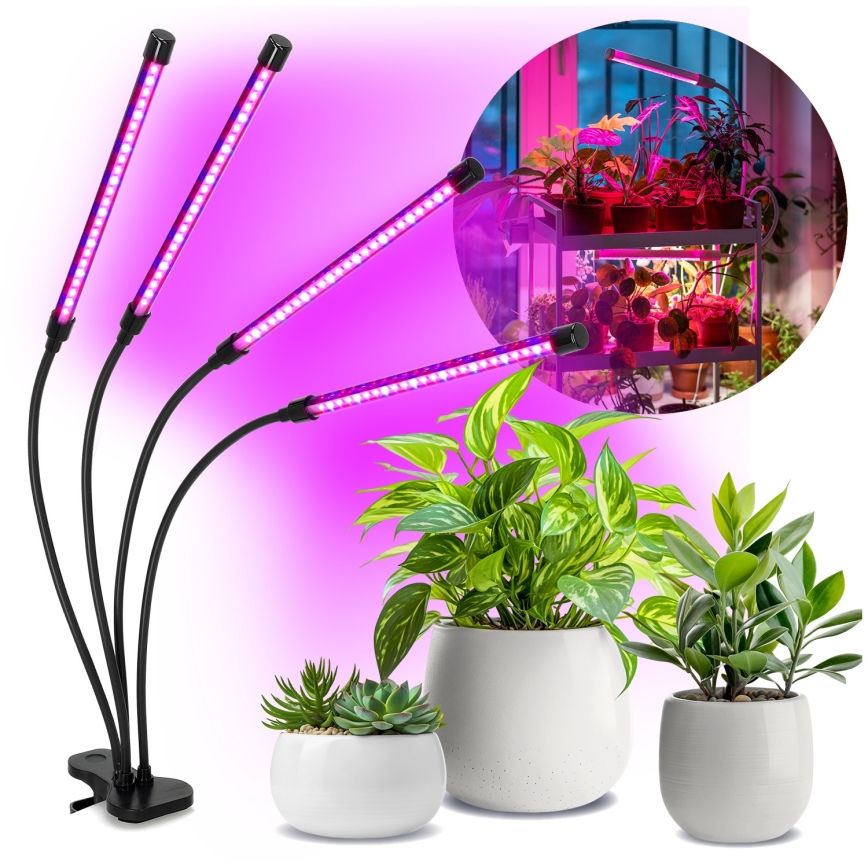LED Prigušiva fleksibilna stolna lampa s kopčom za uzgoj biljaka VITARO 4xLED/10W/230V crna