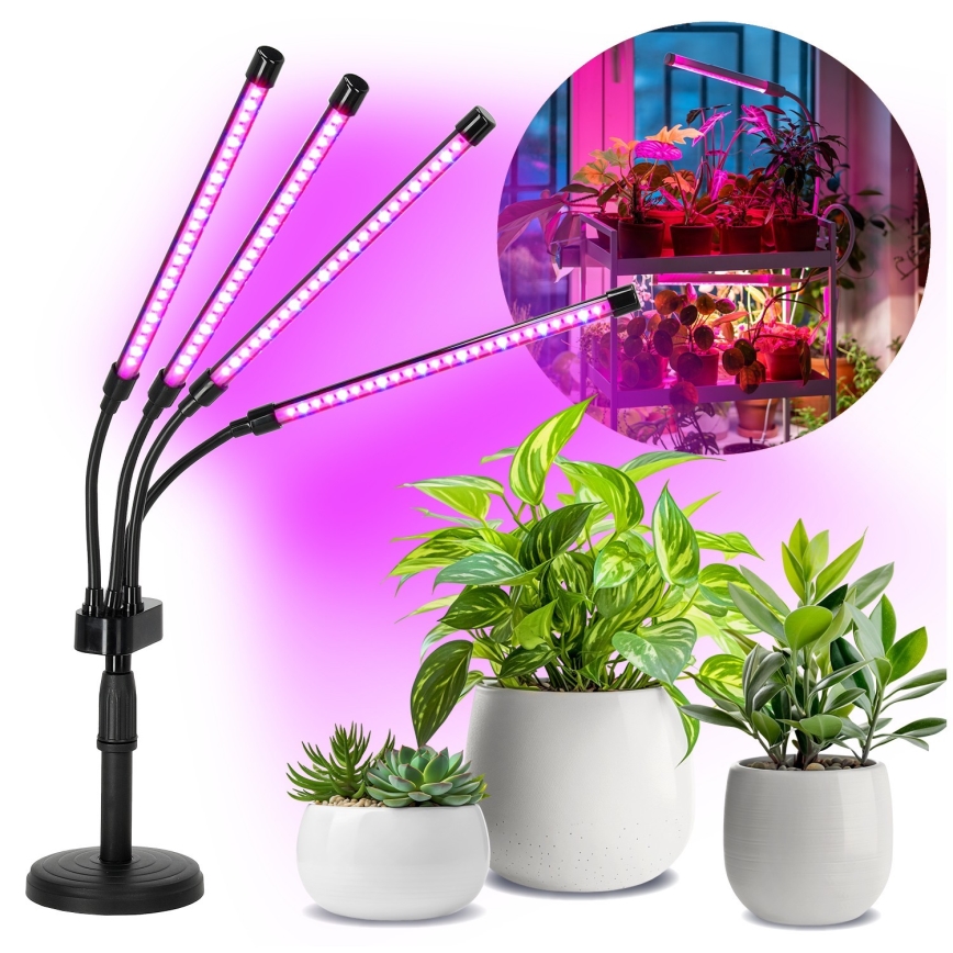 LED Prigušiva fleksibilna stolna lampa za uzgoj biljaka VITARO 4xLED/10W/230V crna