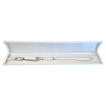 LED Prigušiva fluorescentna svjetiljka LED/35W/44W/52W/60W/230V 4000K 120 cm