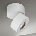 LED Prigušiva kupaonska reflektorska svjetiljka HARVEY LED/15W/230V IP65 bijela