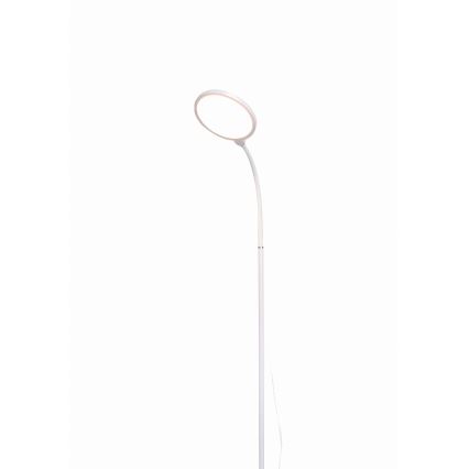 LED Prigušiva podna lampa 2u1 LED/10W/230V bijela