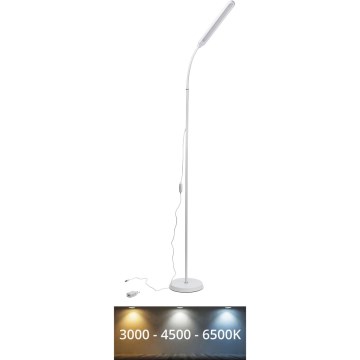 LED Prigušiva podna lampa SIGNUS LED/10W/230V 3000/4500/6500K bijela