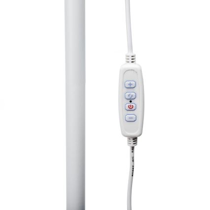 LED Prigušiva podna lampa SIGNUS LED/10W/230V 3000/4500/6500K bijela