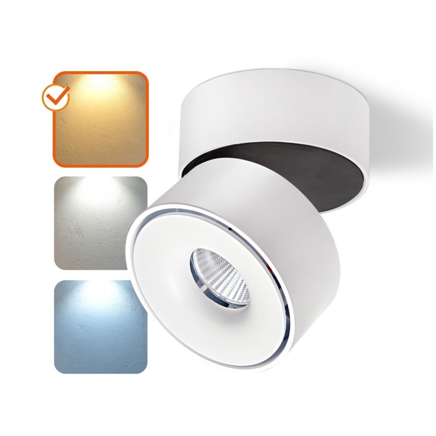 LED Prigušiva reflektorska svjetiljka LAHTI LED/13,5W/230V 3000K CRI 90 bijela