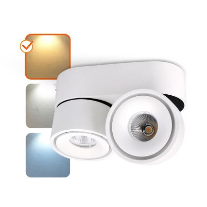 LED Prigušiva reflektorska svjetiljka LAHTI MINI 2xLED/9W/230V 3000K CRI 90 bijela