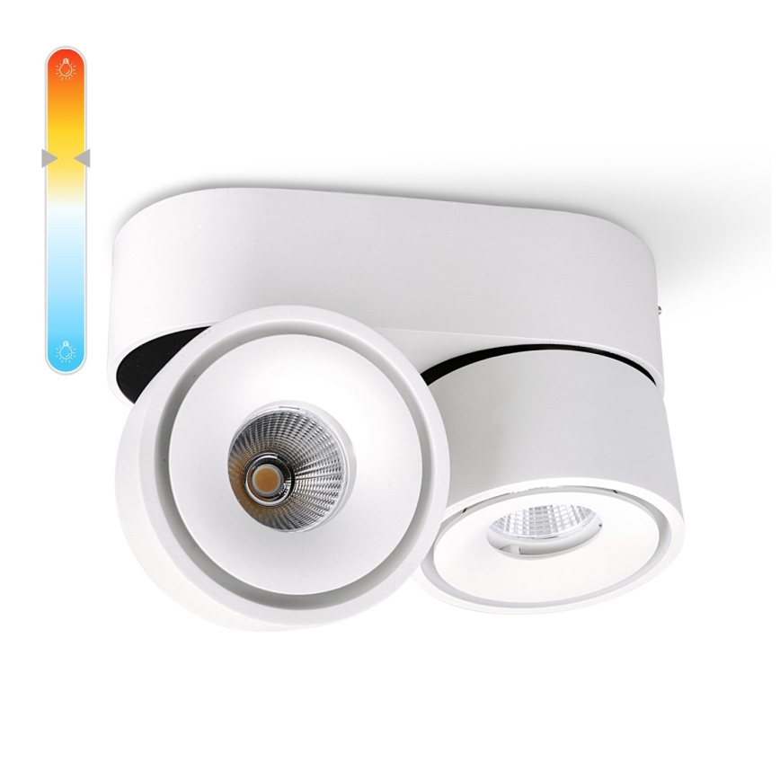 LED Prigušiva reflektorska svjetiljka LAHTI MINI 2xLED/9W/230V 3000K CRI 90 bijela