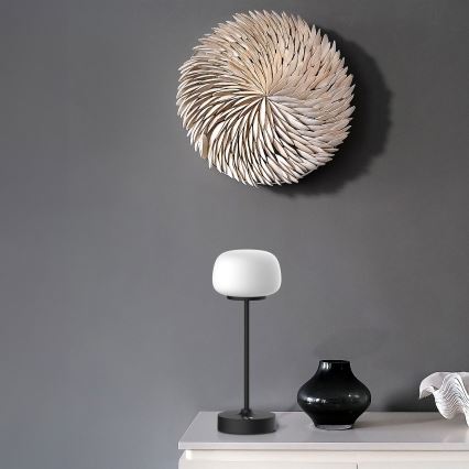LED Prigušiva stolna lampa na dodir RIMINI LED/2W/5V USB 2000 mAh crna/bijela