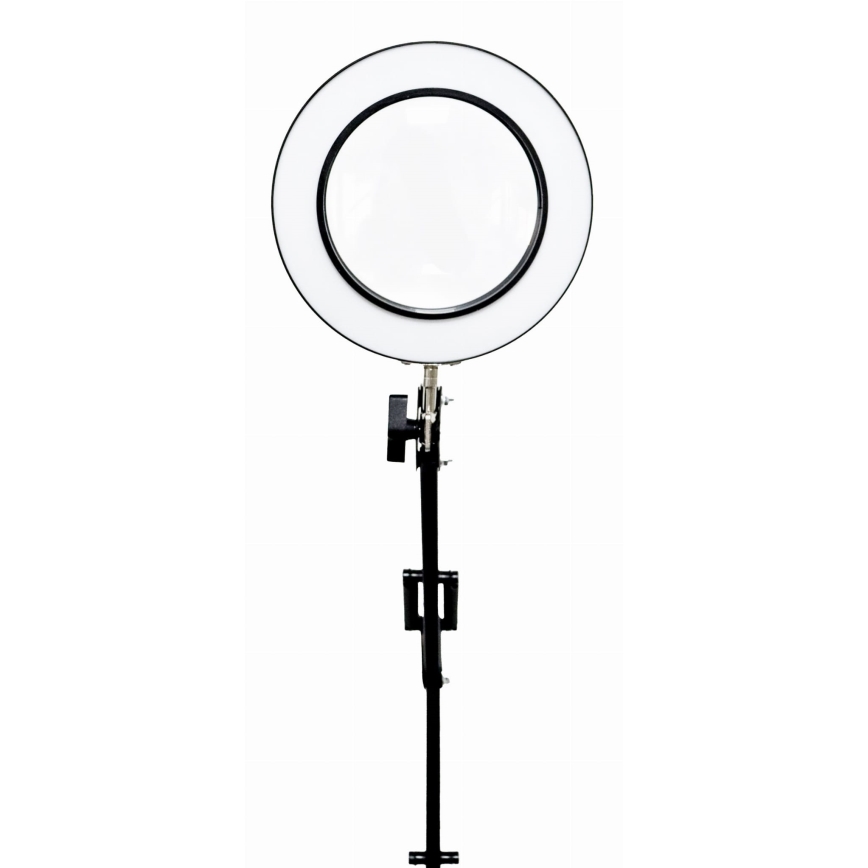 LED Prigušiva stolna lampa s povećalom LED/10W/230V 3000/4500/6000K