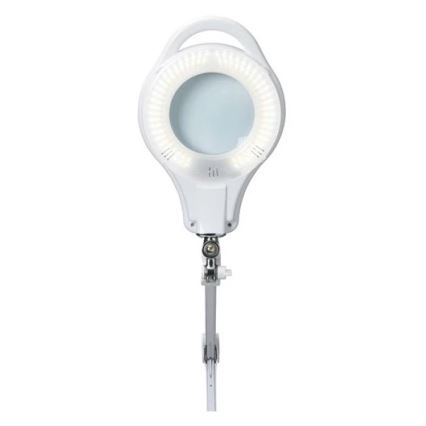 LED Prigušiva stolna lampa s povećalom LED/10W/230V bijela