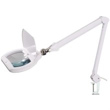 LED Prigušiva stolna lampa s povećalom LED/12W/230V bijela