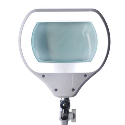 LED Prigušiva stolna lampa s povećalom LED/12W/230V bijela