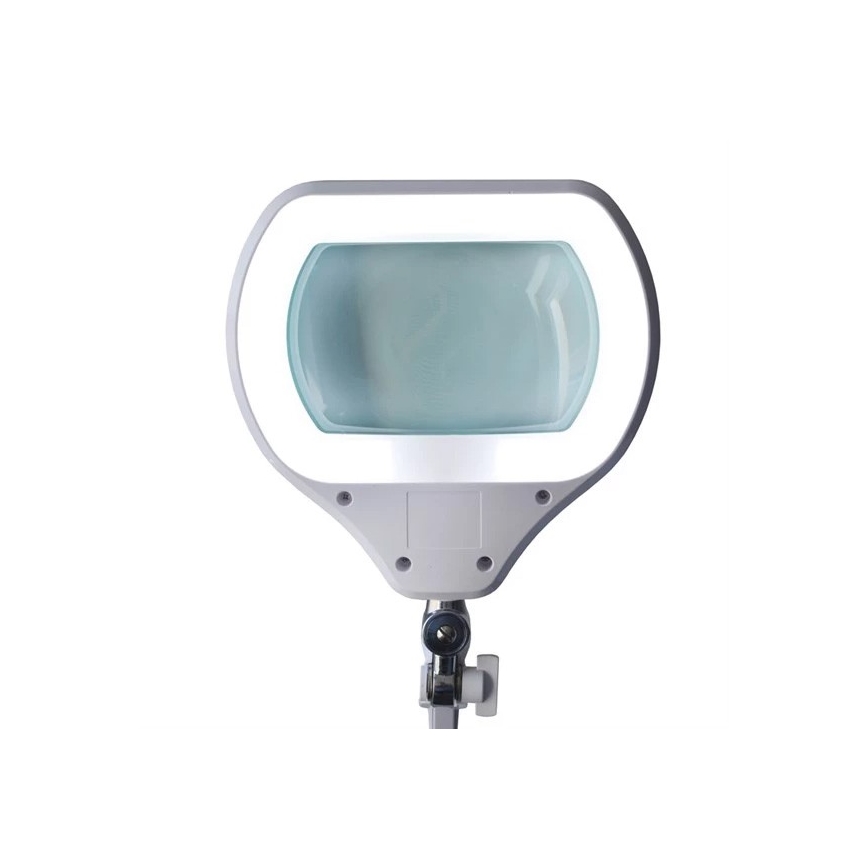 LED Prigušiva stolna lampa s povećalom LED/12W/230V bijela