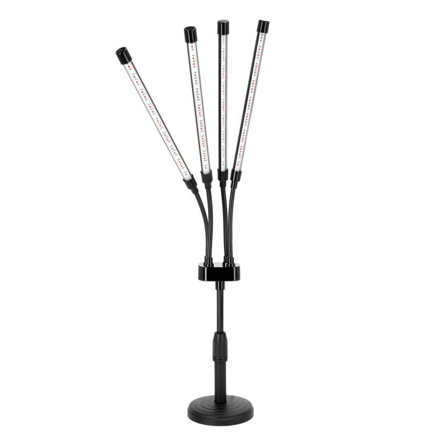 LED Prigušiva fleksibilna stolna lampa za uzgoj biljaka VITARO 4xLED/10W/230V crna