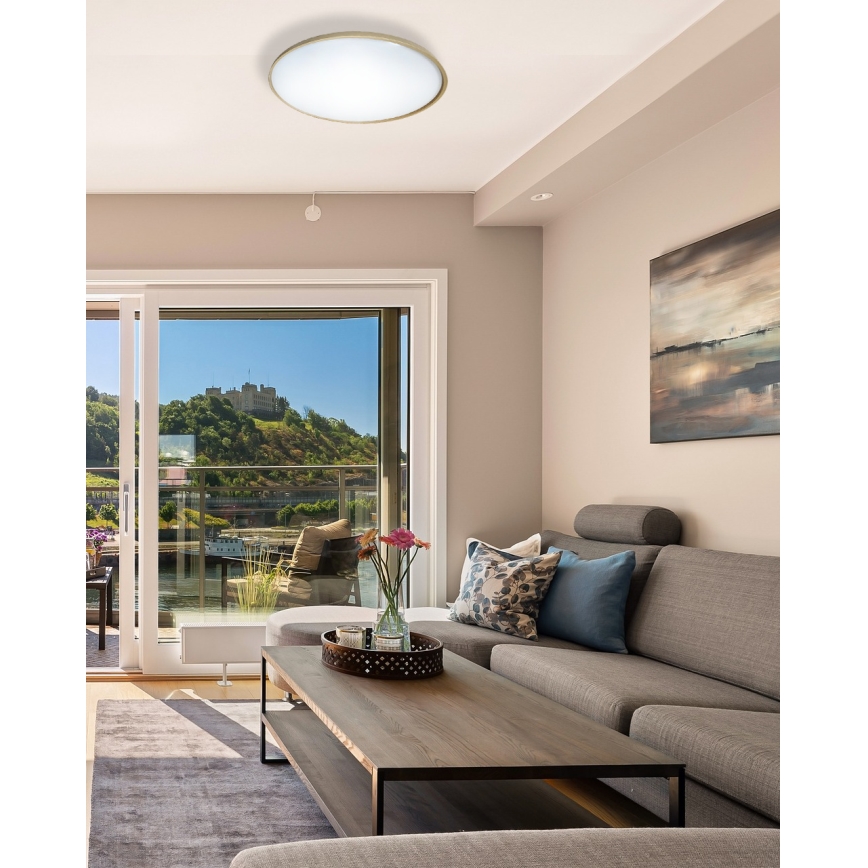 LED Prigušiva stropna svjetiljka DRINA LED/36W/230V 2700-6500K pr. 50 cm + daljinski upravljač