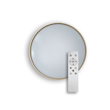 LED Prigušiva stropna svjetiljka DRINA LED/36W/230V 2700-6500K pr. 50 cm + daljinski upravljač
