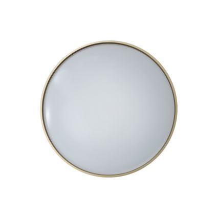 LED Prigušiva stropna svjetiljka DRINA LED/36W/230V 2700-6500K pr. 50 cm + daljinski upravljač