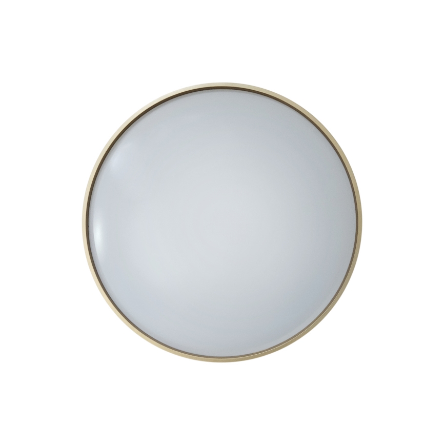 LED Prigušiva stropna svjetiljka DRINA LED/36W/230V 2700-6500K pr. 50 cm + daljinski upravljač