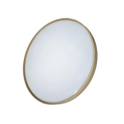LED Prigušiva stropna svjetiljka DRINA LED/36W/230V 2700-6500K pr. 50 cm + daljinski upravljač