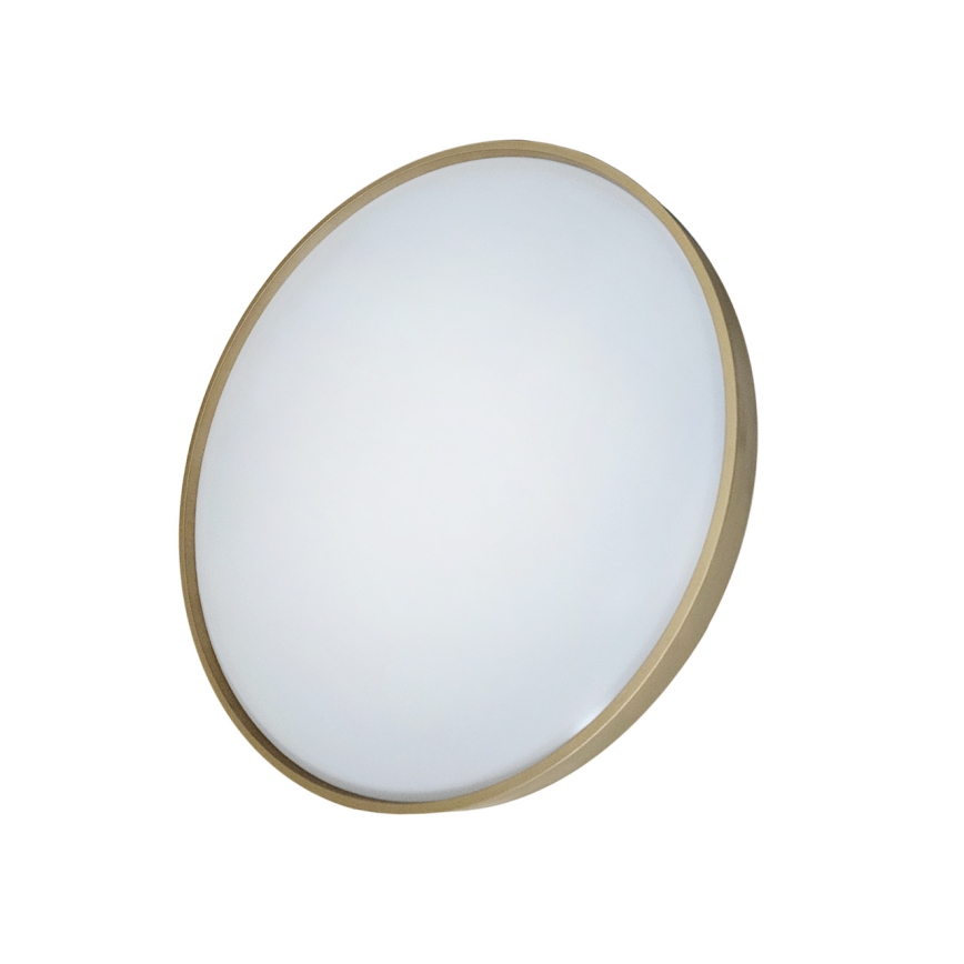 LED Prigušiva stropna svjetiljka DRINA LED/36W/230V 2700-6500K pr. 50 cm + daljinski upravljač