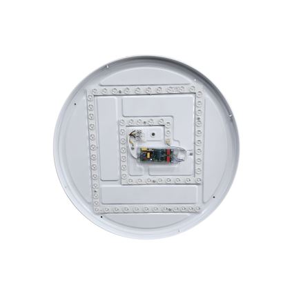 LED Prigušiva stropna svjetiljka DRINA LED/36W/230V 2700-6500K pr. 50 cm + daljinski upravljač