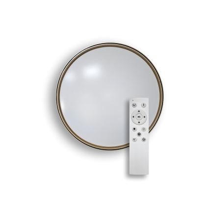 LED Prigušiva stropna svjetiljka EBRO LED/36W/230V 2700-6500K pr. 50 cm + daljinski upravljač