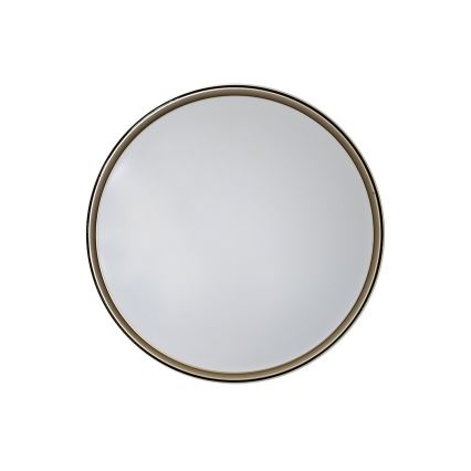LED Prigušiva stropna svjetiljka EBRO LED/36W/230V 2700-6500K pr. 50 cm + daljinski upravljač