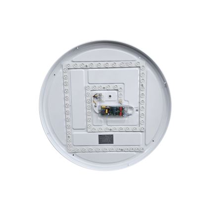 LED Prigušiva stropna svjetiljka EBRO LED/36W/230V 2700-6500K pr. 50 cm + daljinski upravljač