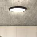 LED Prigušiva stropna svjetiljka ESTELA LED/36W/230V pr.30 cm crna + daljinski upravljač