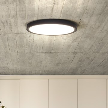 LED Prigušiva stropna svjetiljka ESTELA LED/36W/230V pr.30 cm crna + daljinski upravljač