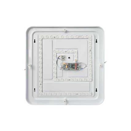LED Prigušiva stropna svjetiljka FLORA LED/36W/230V 2700-6500K 43x43 cm + daljinski upravljač