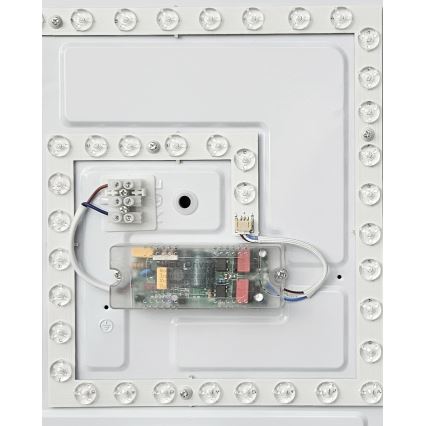 LED Prigušiva stropna svjetiljka FLORA LED/36W/230V 2700-6500K 43x43 cm + daljinski upravljač