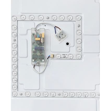 LED Prigušiva stropna svjetiljka FLORA LED/60W/230V 2700-6500K 53x53 cm +daljinski upravljač